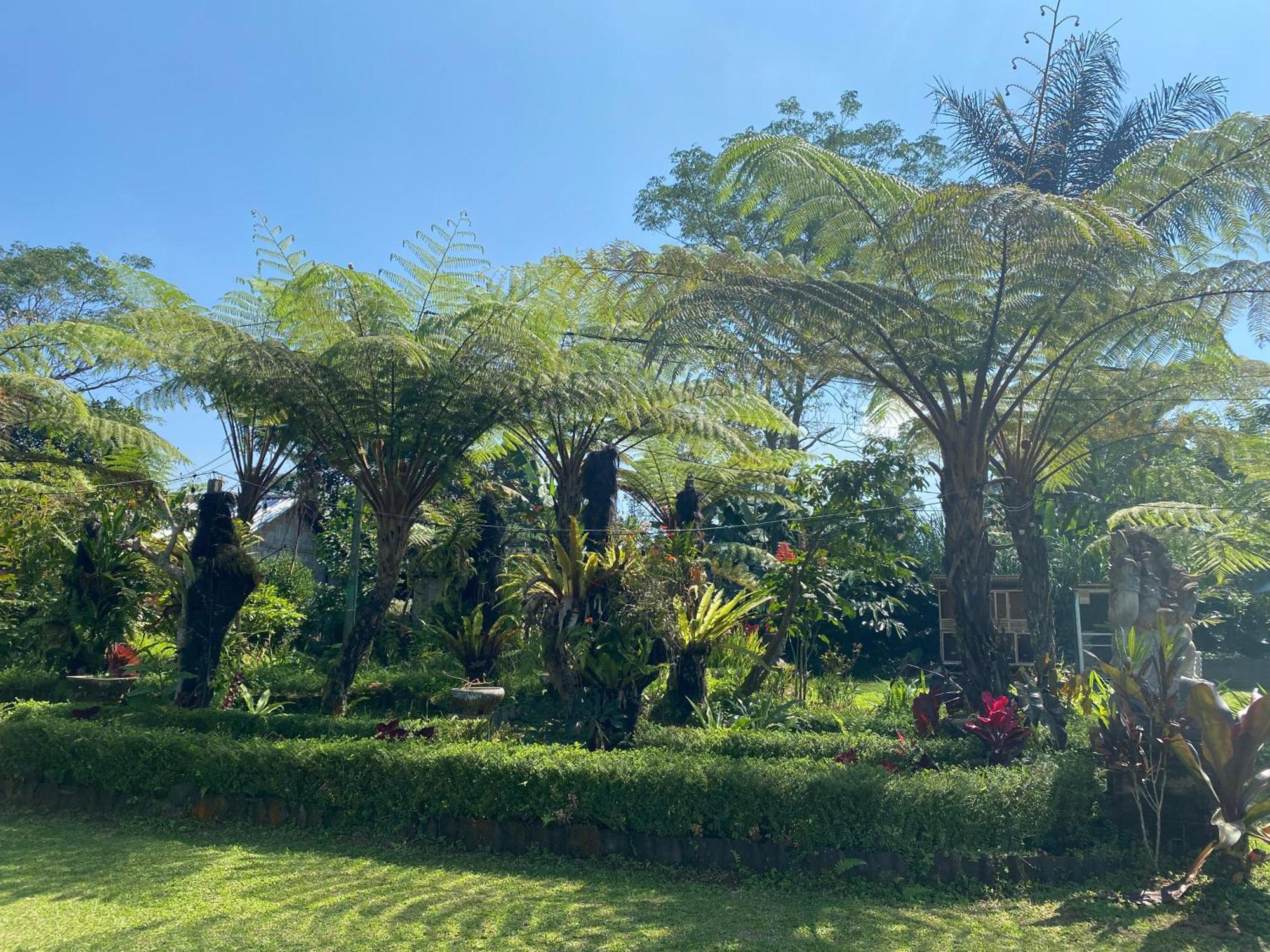 Lembah Cinta Mayungan Baturiti Exterior photo